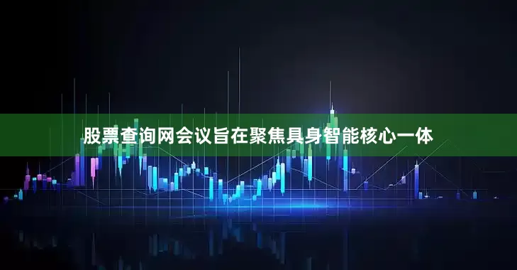 股票查询网会议旨在聚焦具身智能核心一体