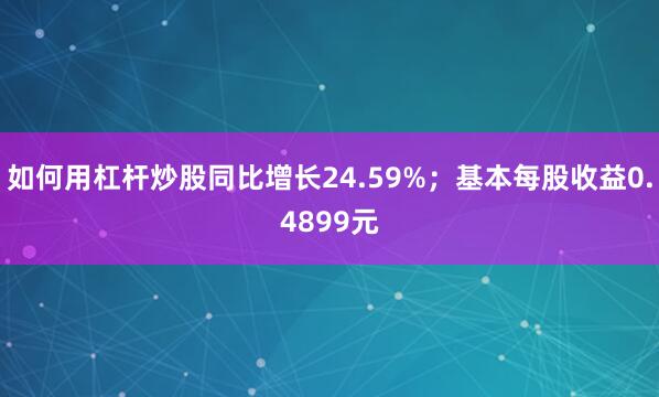 如何用杠杆炒股同比增长24.59%；基本每股收益0.4899元